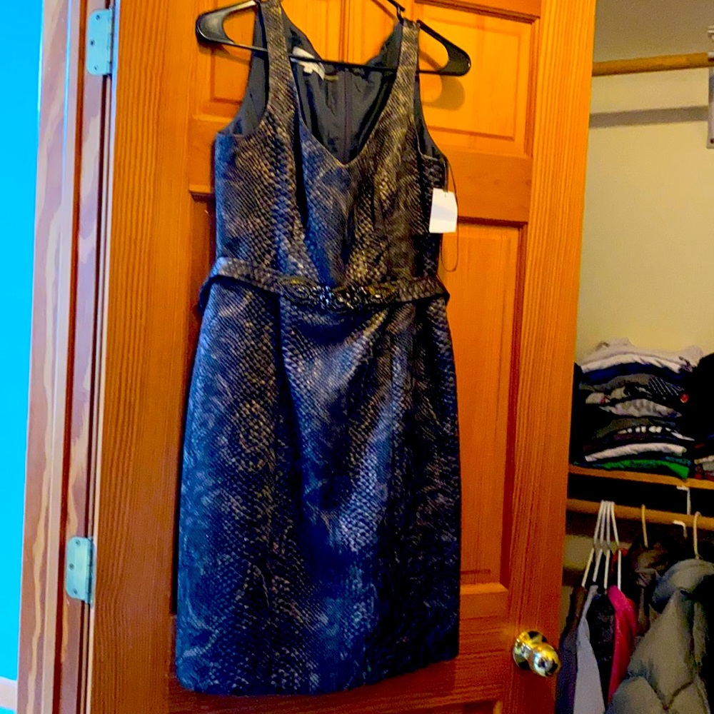 Teri Jon dress